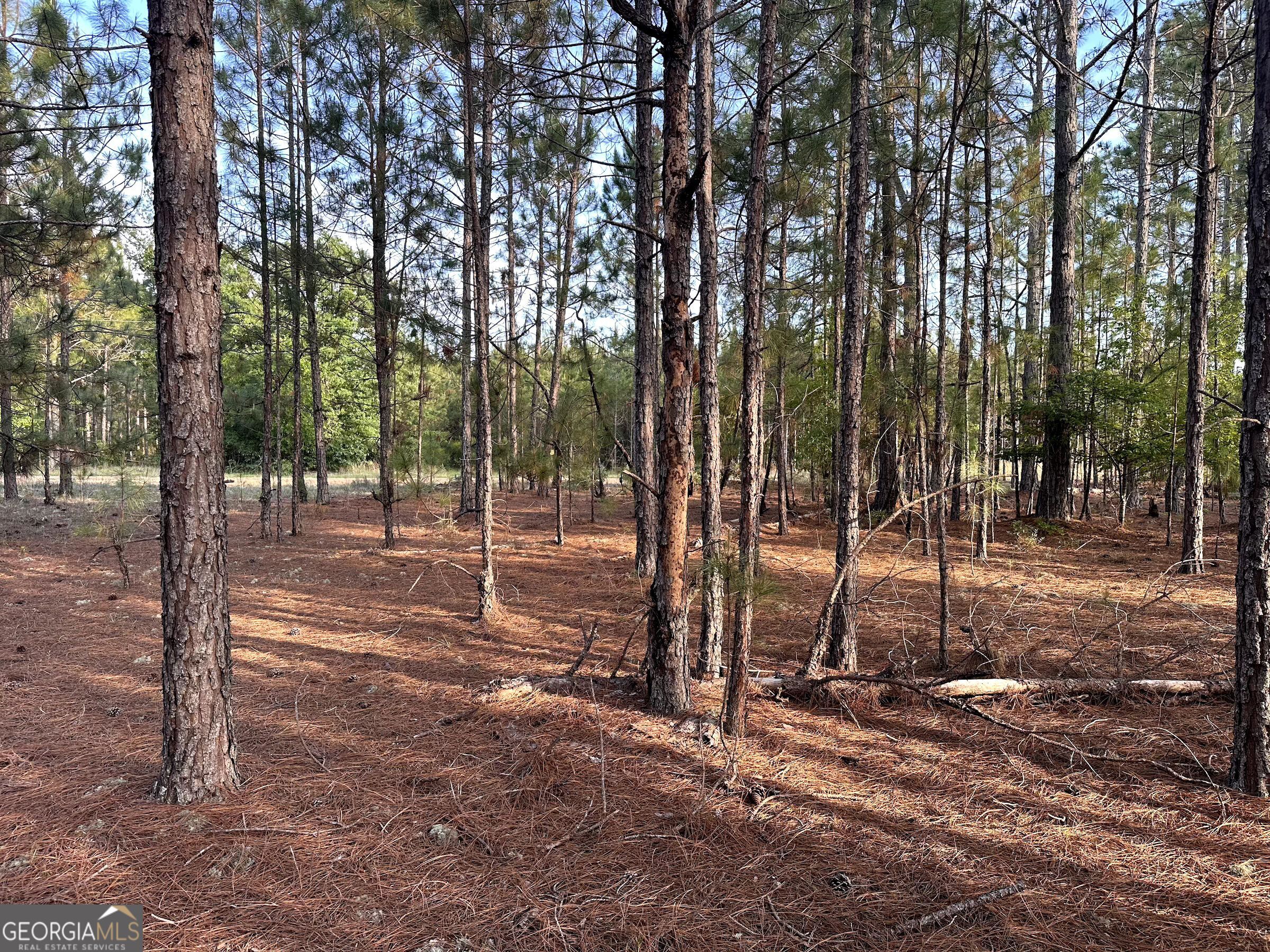 3570 William Dennis Road McRae-Helena, GA 31037 - Photo 21 of 23