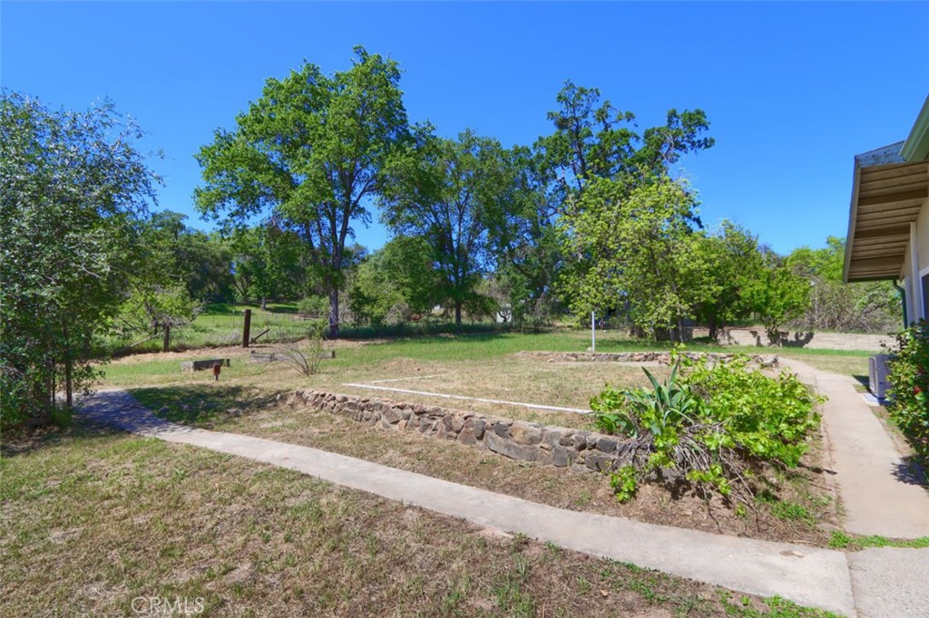 4949 Indian Peak Road Mariposa, CA 95338 - Photo 42 of 56 a view of a park with a tree