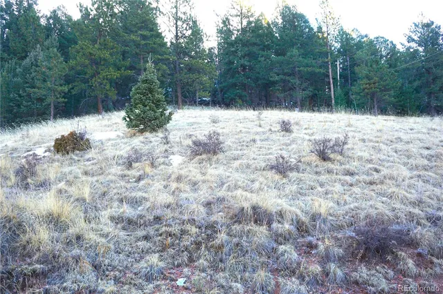 a view of side of green and trees
