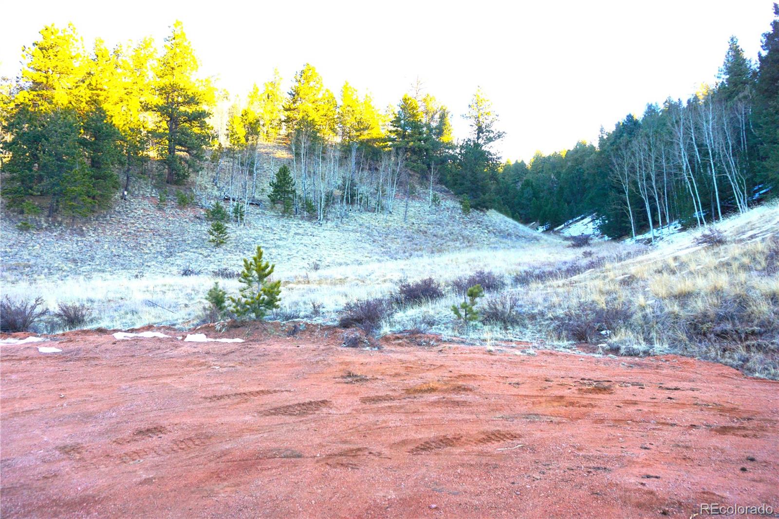 637 Valley Road Divide, CO 80814 - Photo 2 of 11 a view of a yard with trees