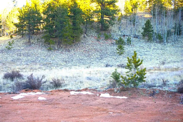 a view of a yard with trees in front of it
