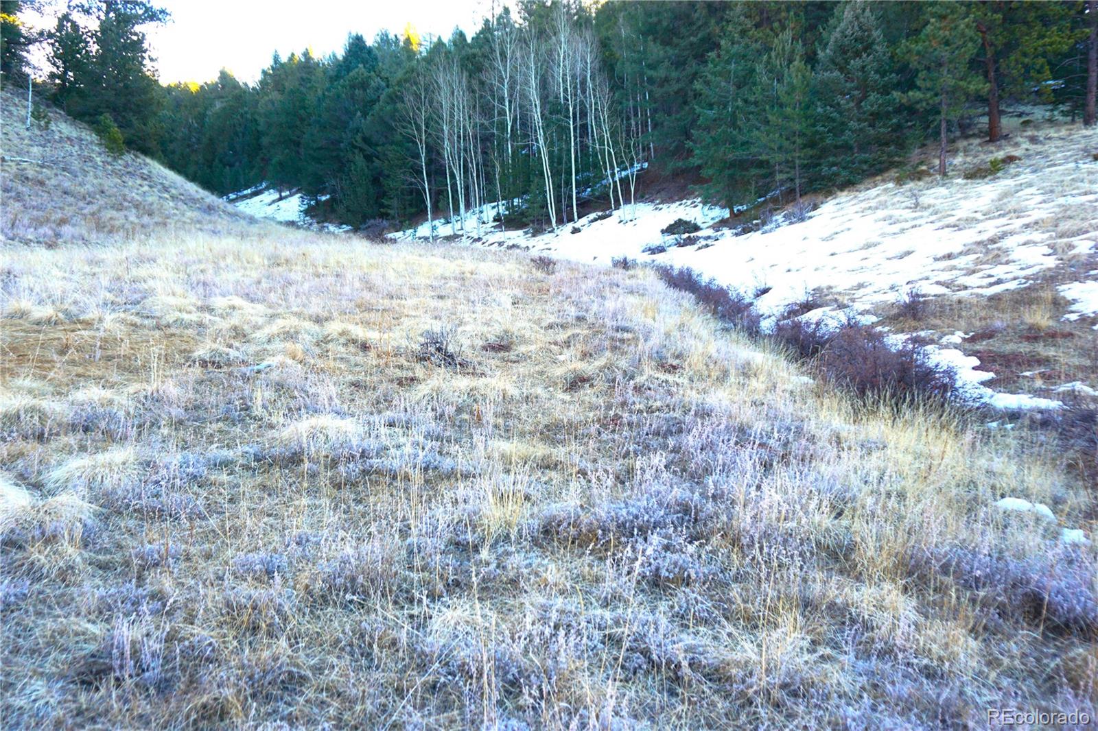 637 Valley Road Divide, CO 80814 - Photo 6 of 11 a view of yard
