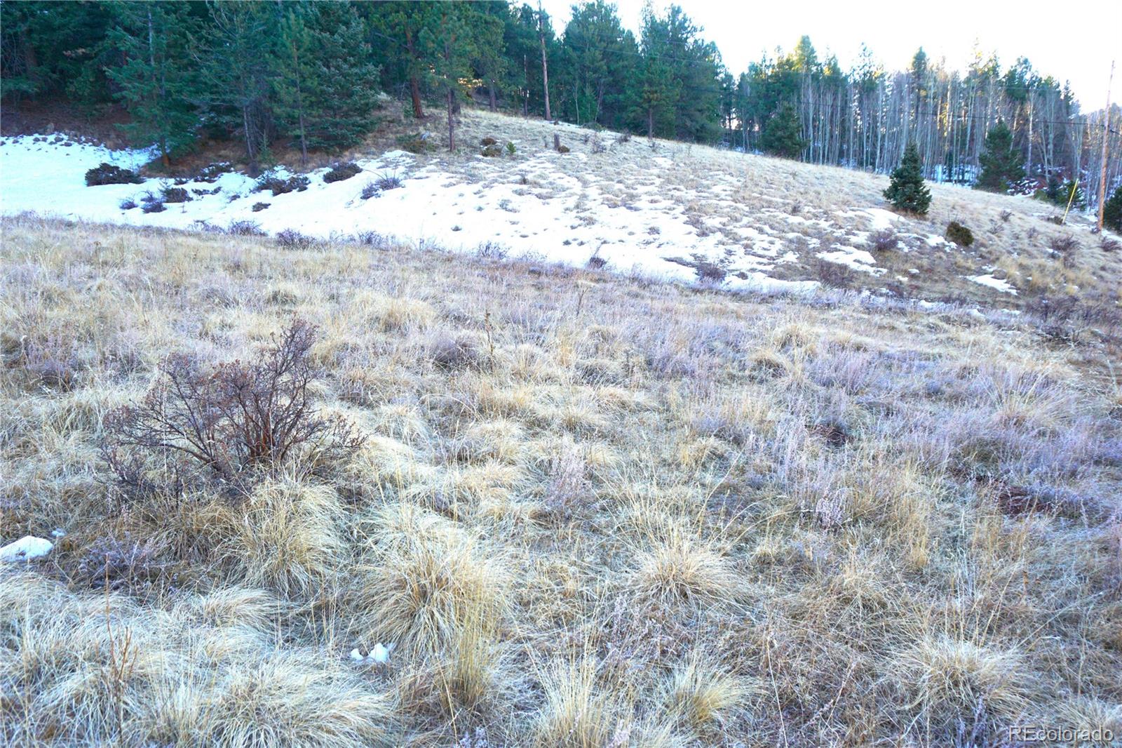 637 Valley Road Divide, CO 80814 - Photo 9 of 11 a view of a snow in a yard with green space