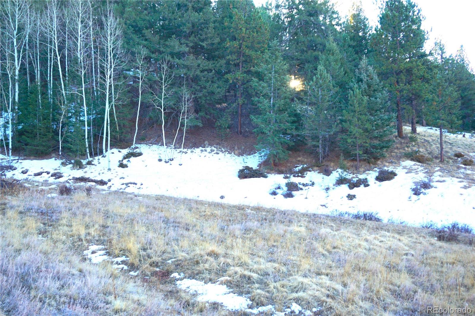 637 Valley Road Divide, CO 80814 - Photo 10 of 11 a view of a yard covered with snow in the forest