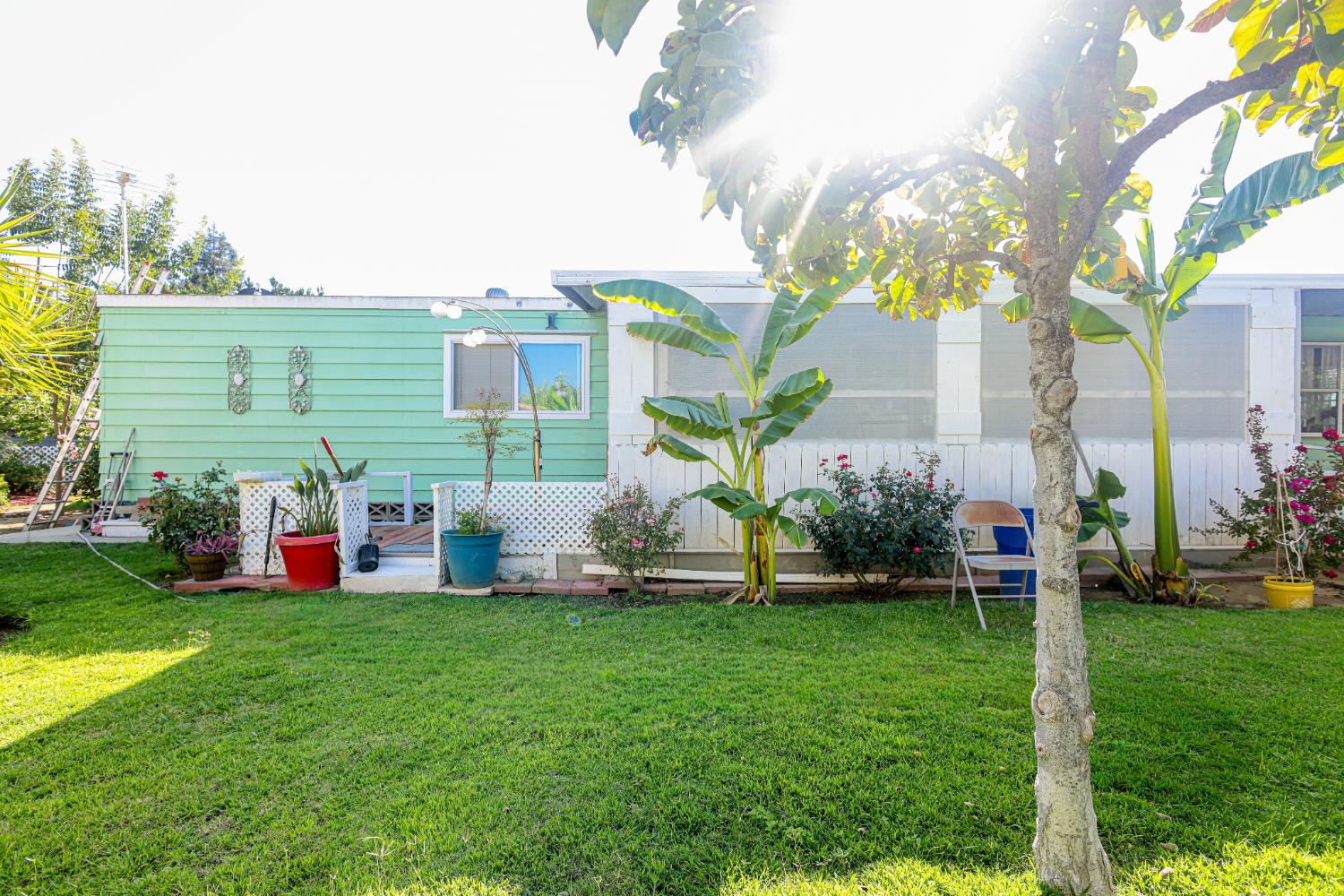 1300 West Olson Avenue, Unit 61 Reedley, CA 93654 - Photo 16 of 20 a view of a backyard with plants and a large tree