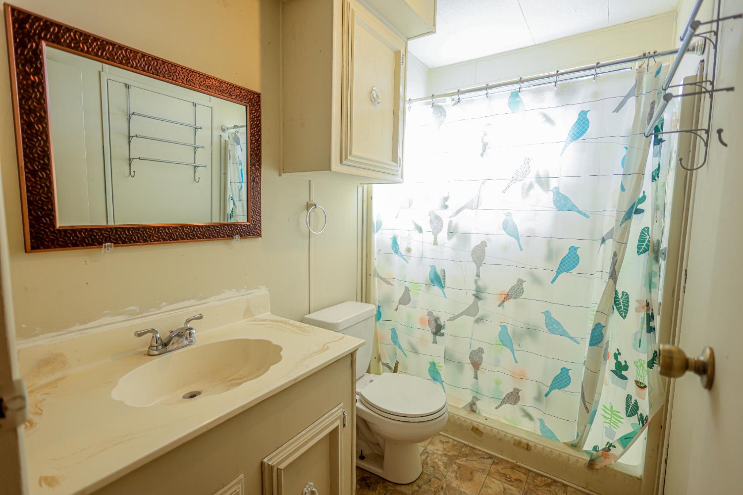 1300 West Olson Avenue, Unit 61 Reedley, CA 93654 - Photo 19 of 20 a bathroom with a sink and a mirror