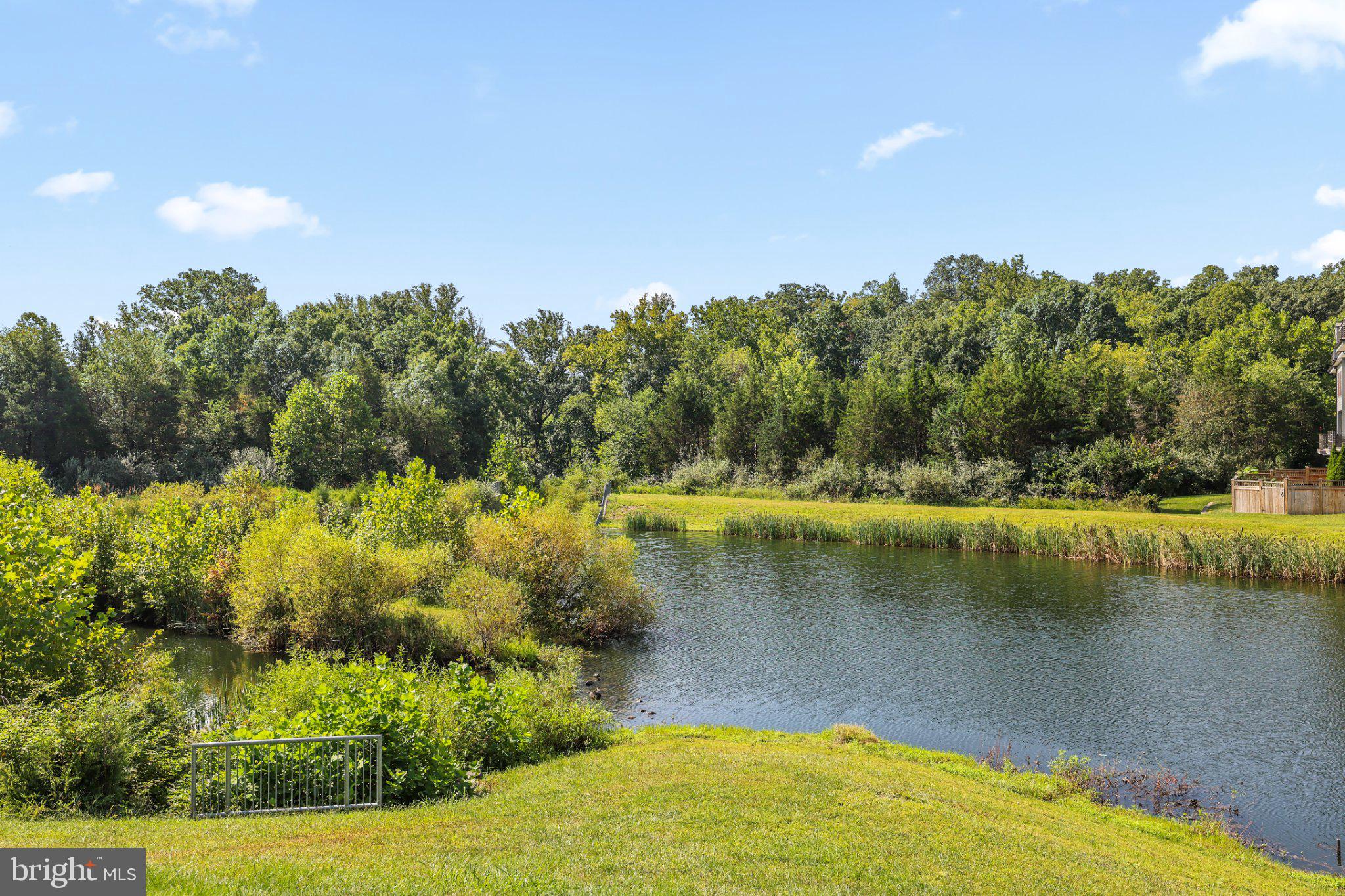 1406 Ribbon Limestone Terrace Southeast Leesburg, VA 20175 - Photo 28 of 39 Pond Area