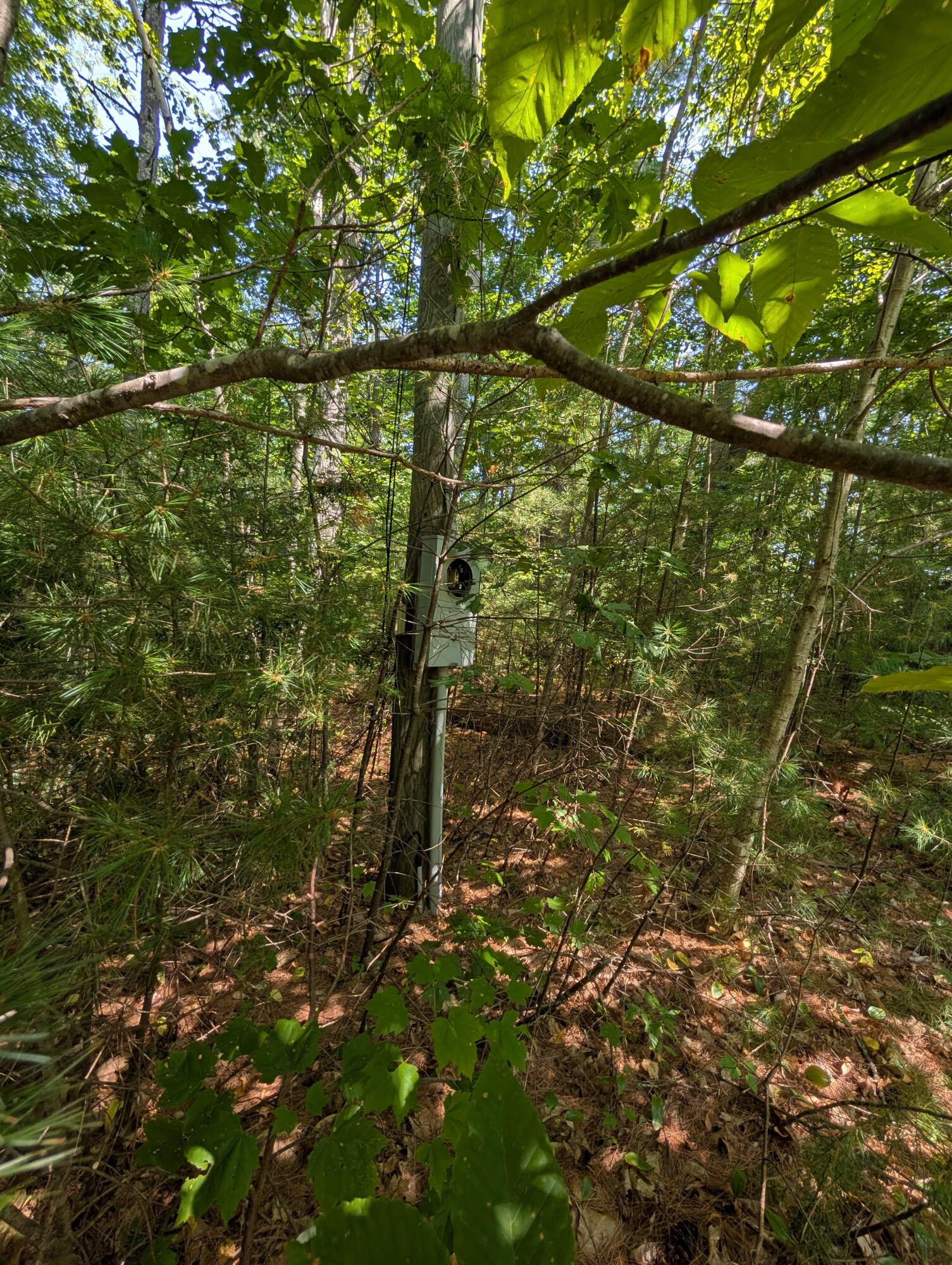 M05-lot29 Stow Road Stow, ME 04037 - Photo 8 of 18 Power pole
