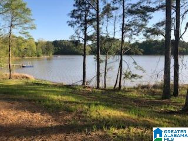 3354 River Ranch Road Ragland, AL 35131 - Photo 1 of 6