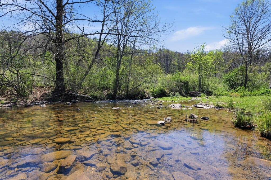 4020 Freestone Valley Road Tannersville, VA 24377 - Photo 42 of 109 Gallery Image 42
