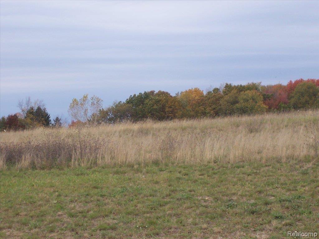 Unit34 Iosco Ridge Drive Gregory, MI 48137 - Photo 1 of 1