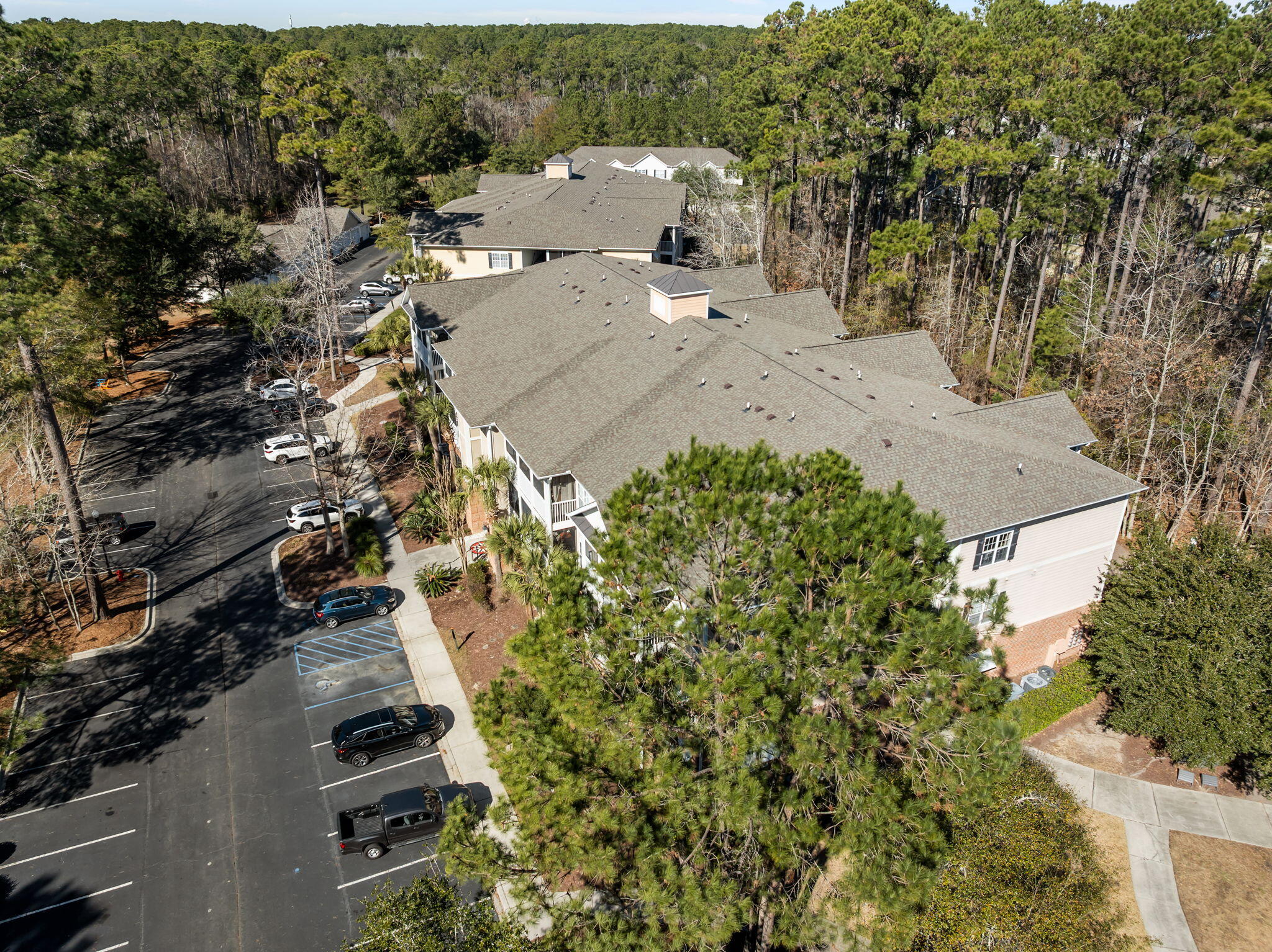 1416 Basildon Road Mount Pleasant, SC 29466 - Photo 23 of 25 1416 Basildon Road