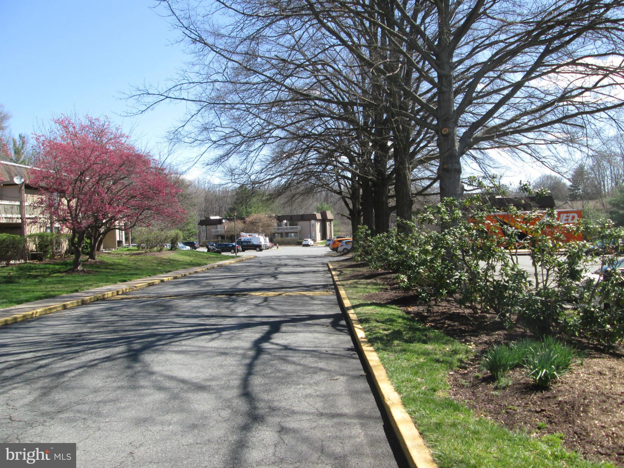 5808 Royal Ridge Drive, Unit R Springfield, VA 22152 - Photo 22 of 29 Tree Lined Streets