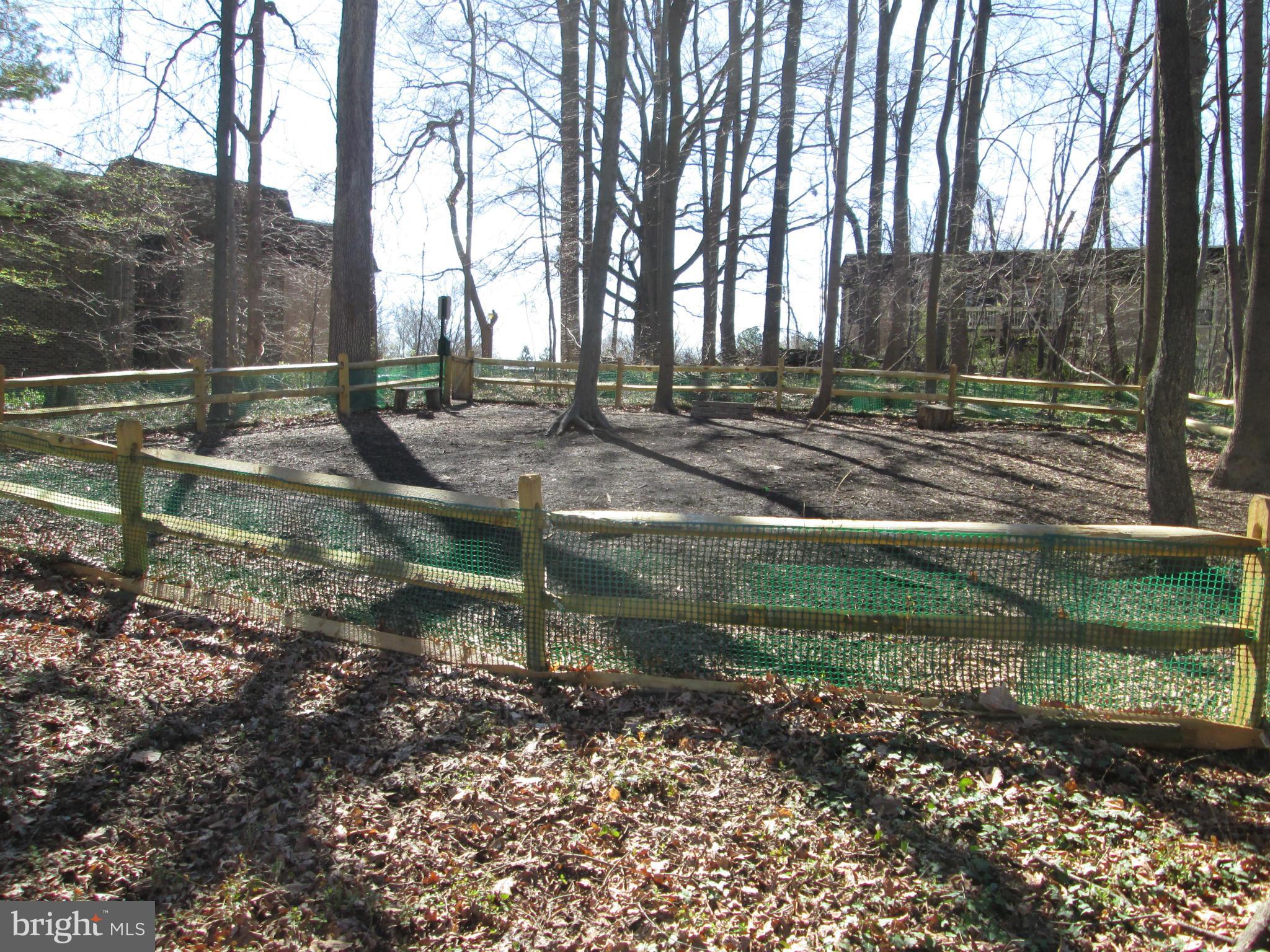 5808 Royal Ridge Drive, Unit R Springfield, VA 22152 - Photo 27 of 29 Dog Park