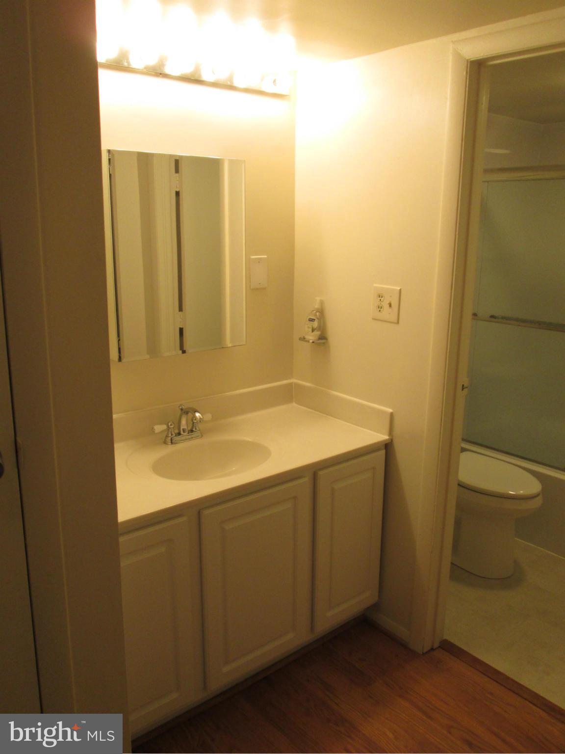 5808 Royal Ridge Drive, Unit R Springfield, VA 22152 - Photo 8 of 29 Bath