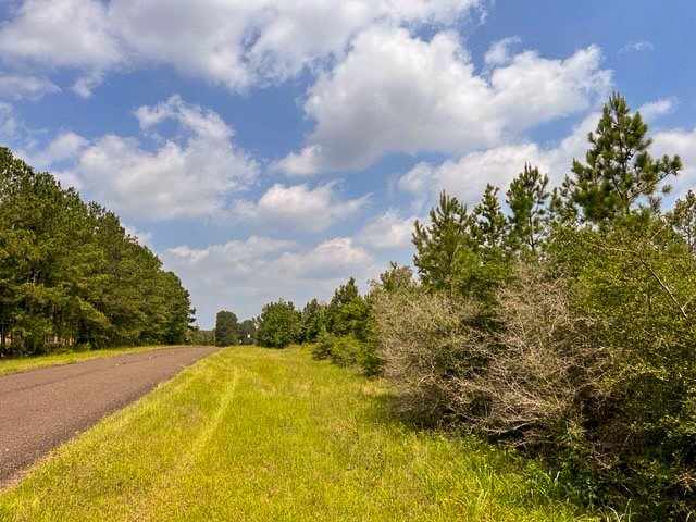0 Fm 92 Colmesneil, TX 75938 - Photo 8 of 12