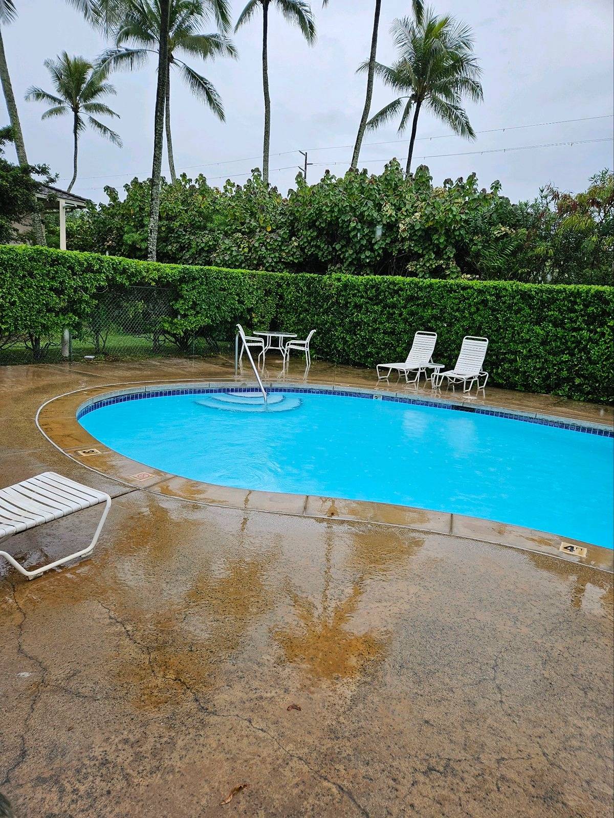 525 Aleka Loop, Unit K3 Kapaa, HI 96746 - Photo 14 of 14 a view of a swimming pool and lounge chairs