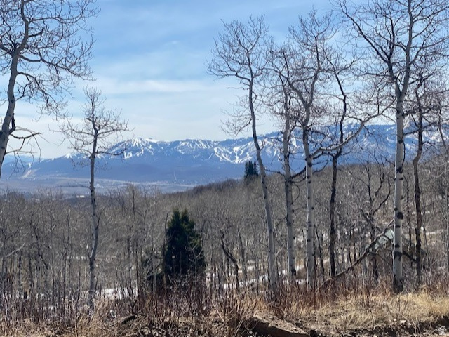2604 South Forest Meadow Road, Unit C82 Coalville, UT 84017 - Photo 22 of 27 Mountain view