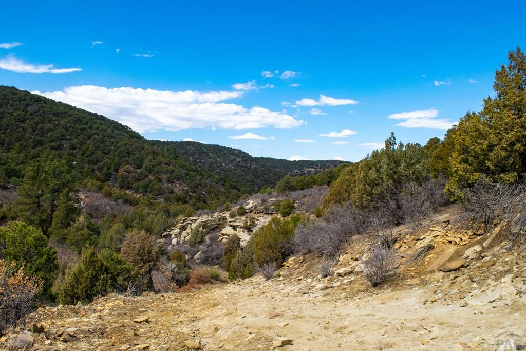 Tbd Turkey Run Trinidad, CO 81082 - Photo 20 of 60