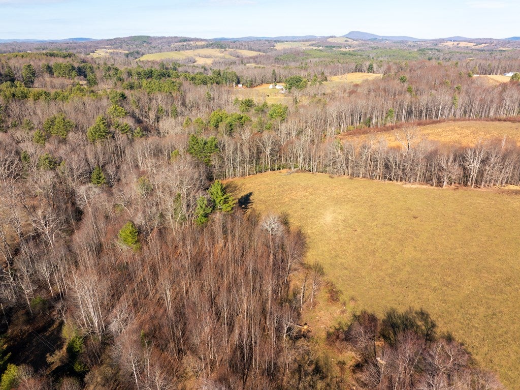Tbd Dry Twig Road Laurel Fork, VA 24352 - Photo 5 of 13 Gallery Image 5