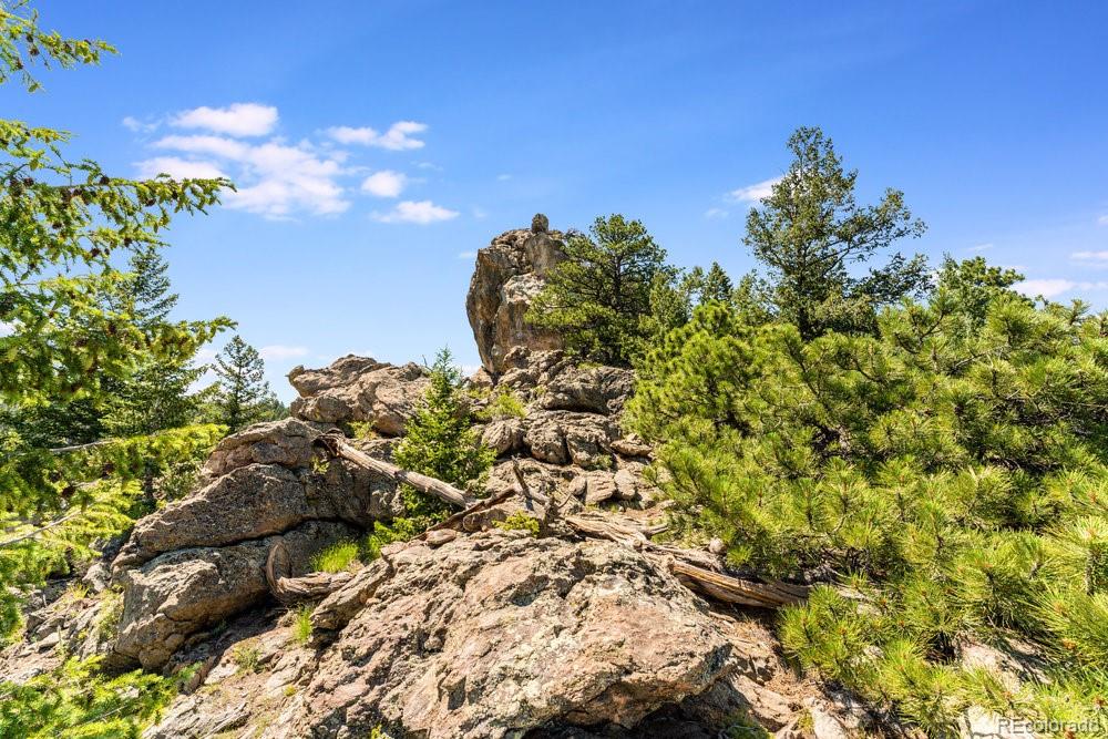 0 West Meadow Road Evergreen, CO 80439 - Photo 11 of 50