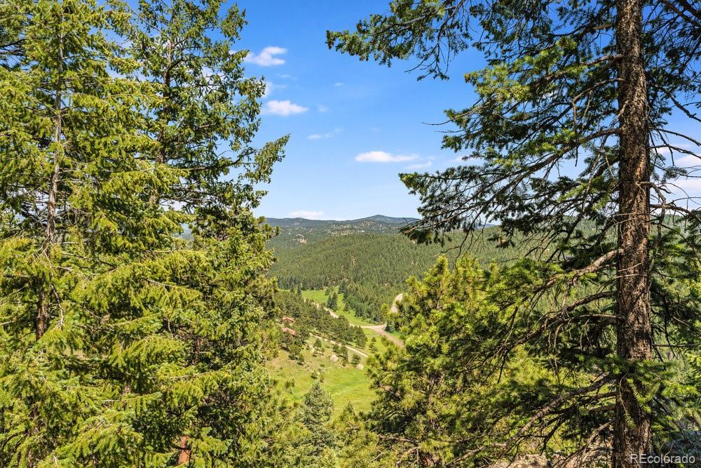 0 West Meadow Road Evergreen, CO 80439 - Photo 14 of 50