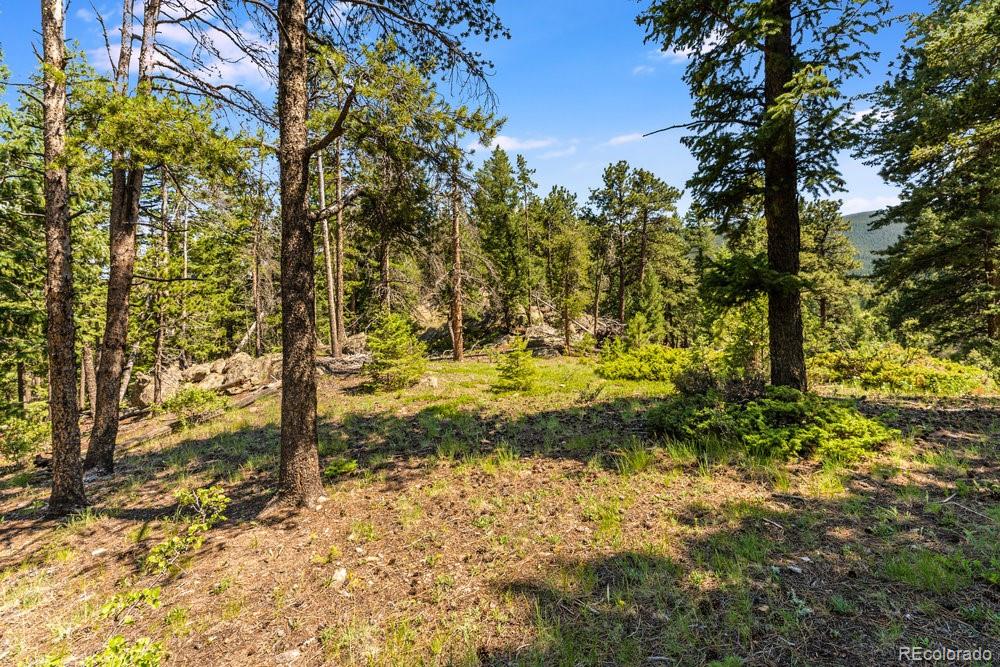 0 West Meadow Road Evergreen, CO 80439 - Photo 16 of 50