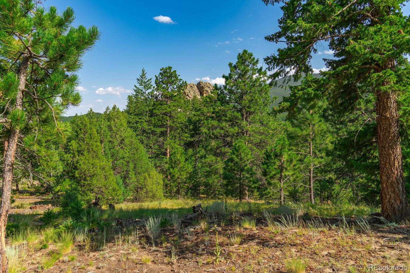 0 West Meadow Road Evergreen, CO 80439 - Photo 23 of 50