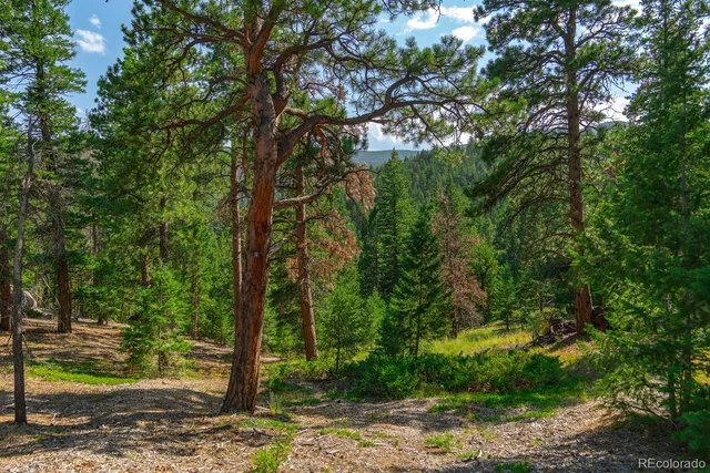 a view of outdoor space with trees
