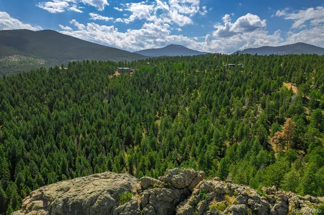 a view of a city with lush green forest