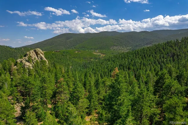 a view of an lush green mountain