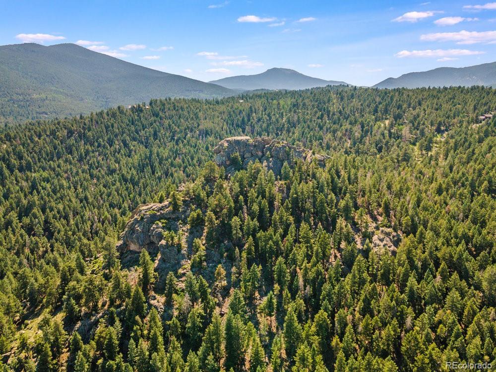 0 West Meadow Road Evergreen, CO 80439 - Photo 10 of 50