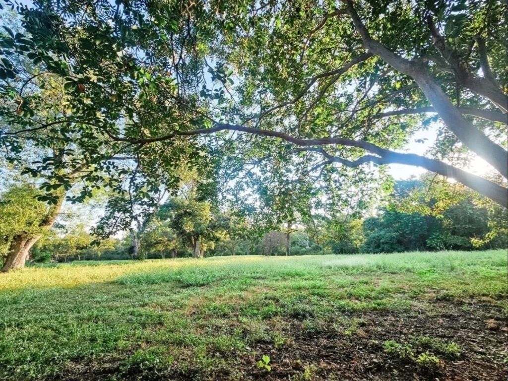 3618 Quiette Drive Austin, TX 78754 - Photo 25 of 31 a view of outdoor space with deck and yard