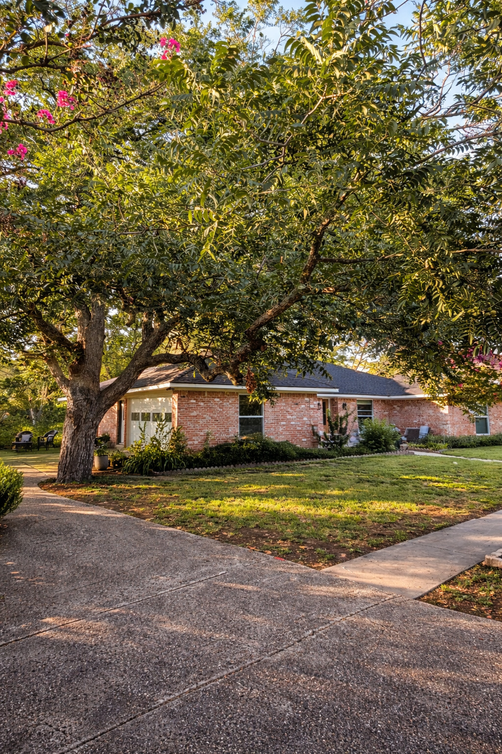 3618 Quiette Drive Austin, TX 78754 - Photo 25 of 37 a front view of a house with a yard and trees