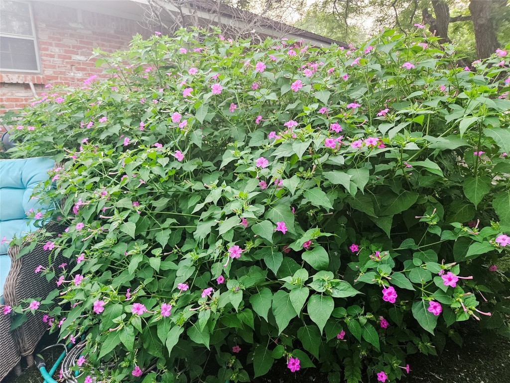 3618 Quiette Drive Austin, TX 78754 - Photo 27 of 31