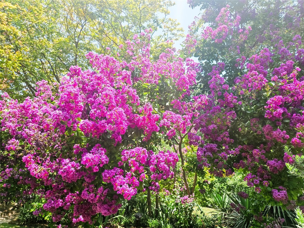 3618 Quiette Drive Austin, TX 78754 - Photo 28 of 31