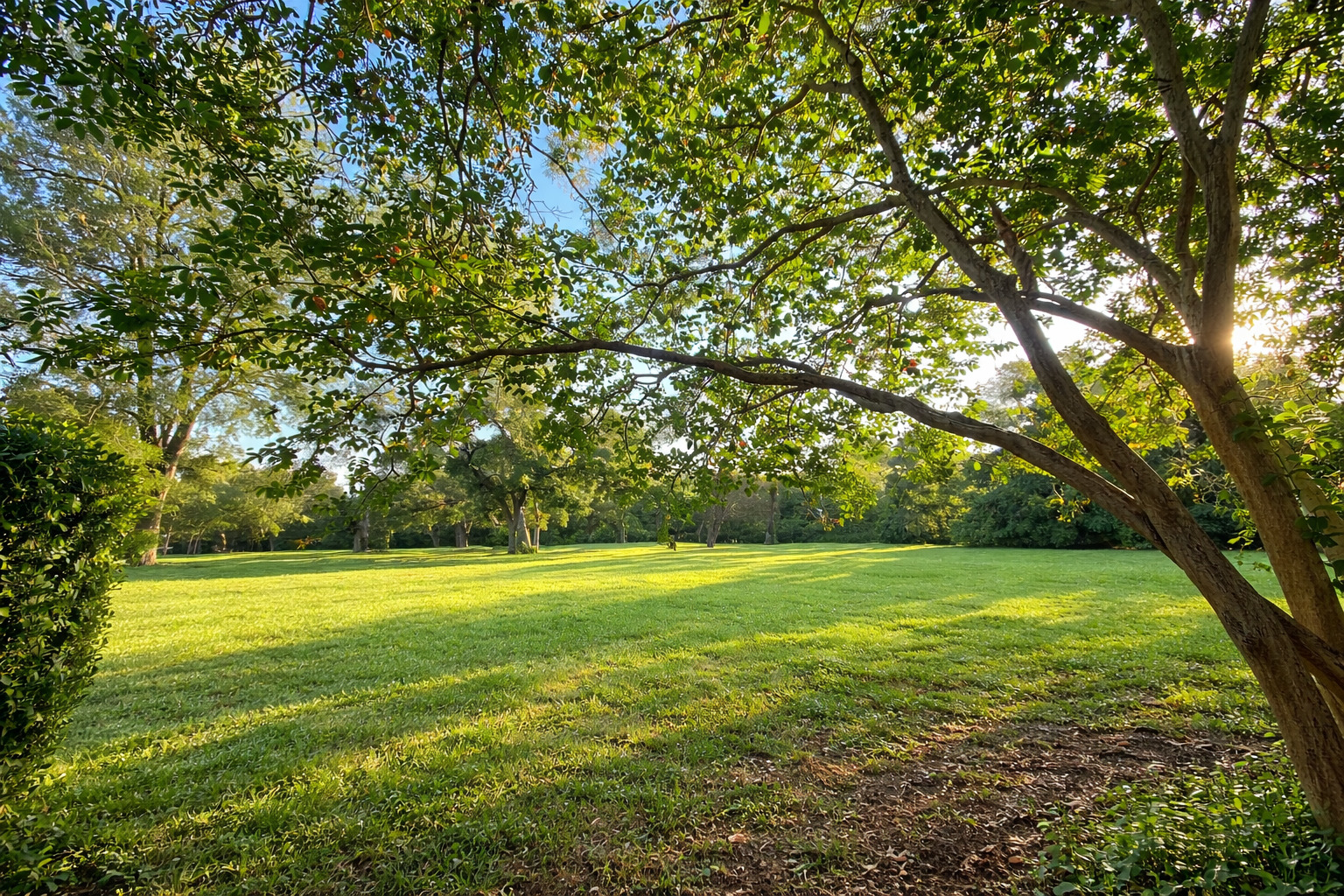 3618 Quiette Drive Austin, TX 78754 - Photo 29 of 37 a view of a big yard next to a large trees