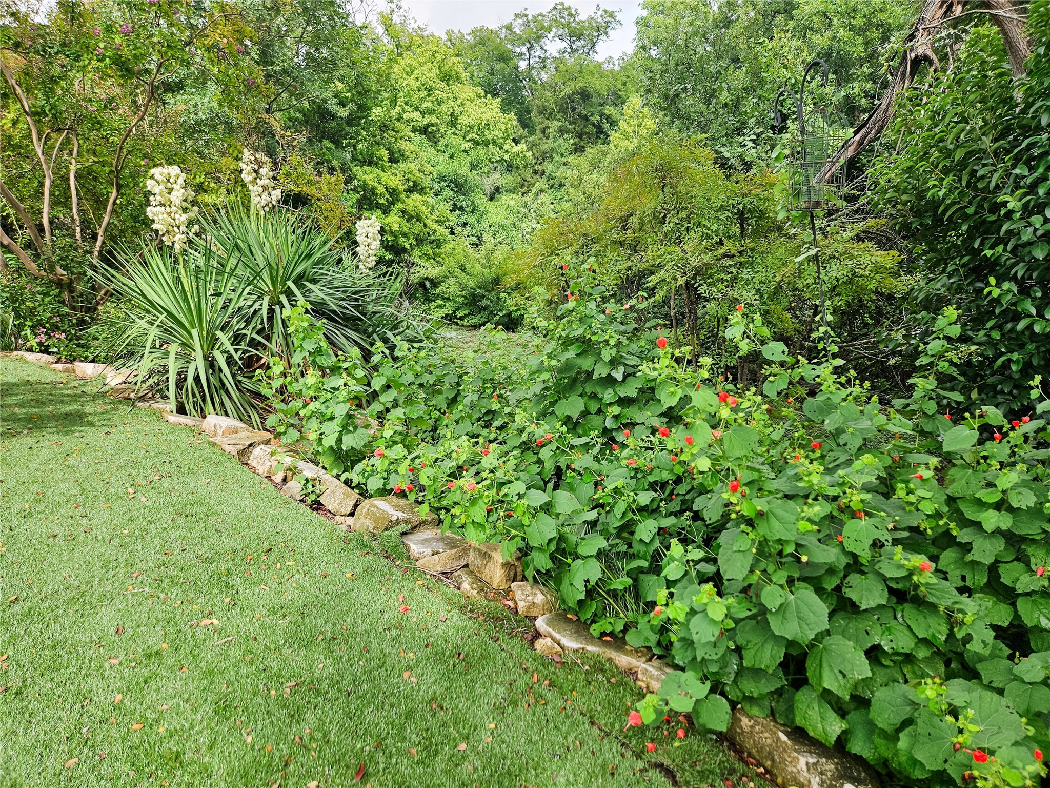 3618 Quiette Drive Austin, TX 78754 - Photo 31 of 37 a view of a lush green space