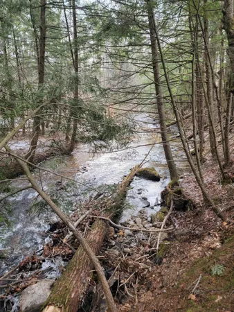 $65,000 | 2041 East Road, Bennington, VT 05201