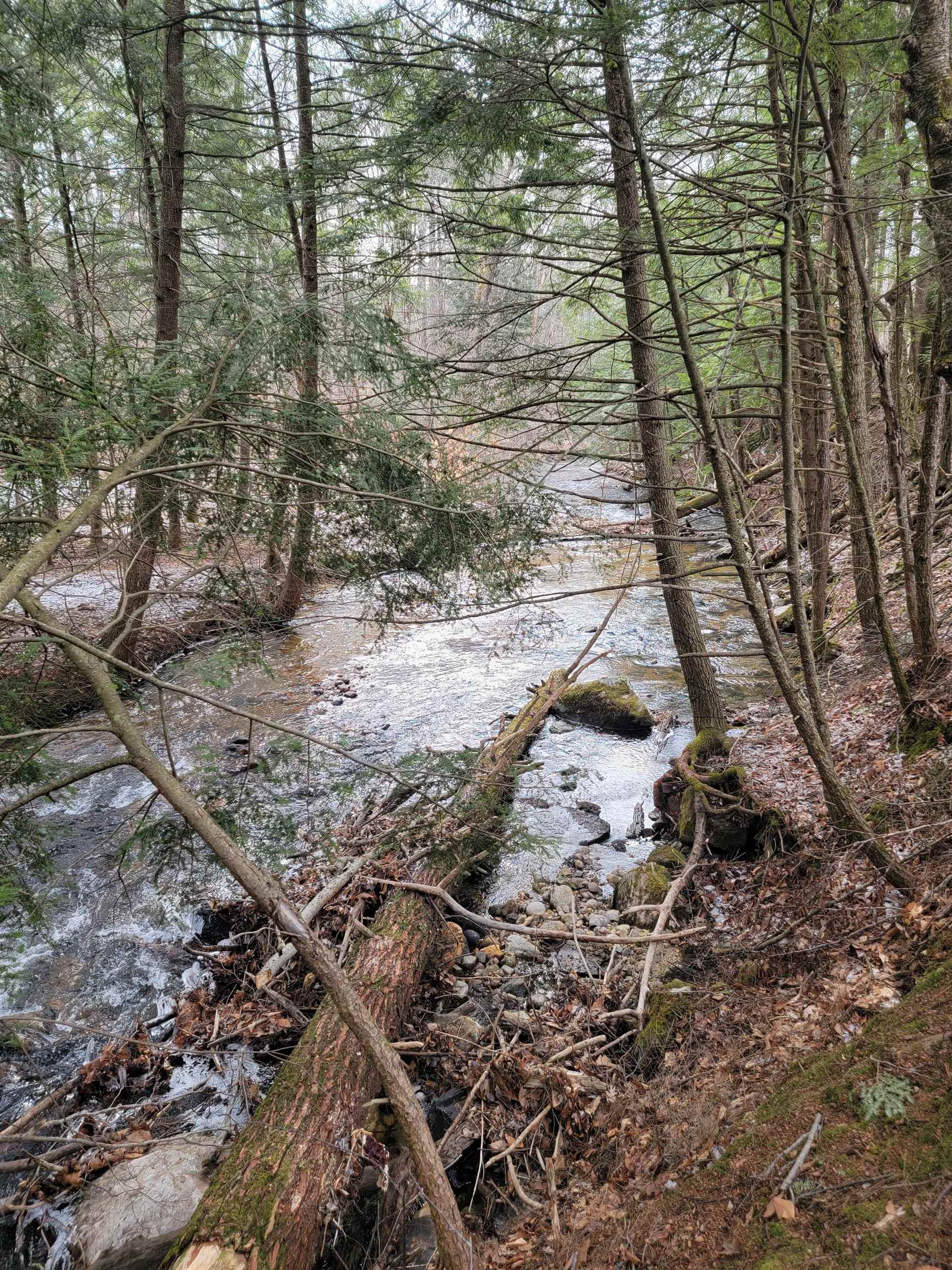 2041 East Road Bennington, VT 05201 - Photo 2 of 8
