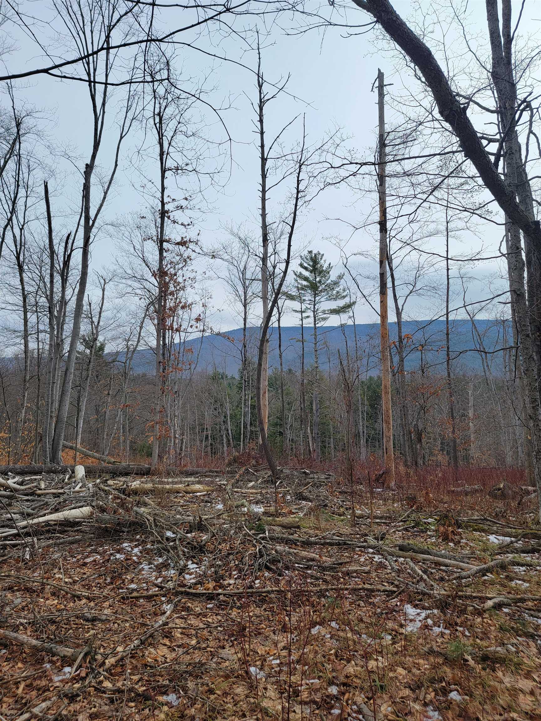 2041 East Road Bennington, VT 05201 - Photo 4 of 8
