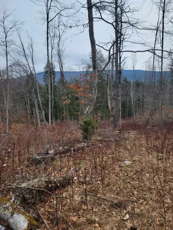 $65,000 | 2041 East Road, Bennington, VT 05201