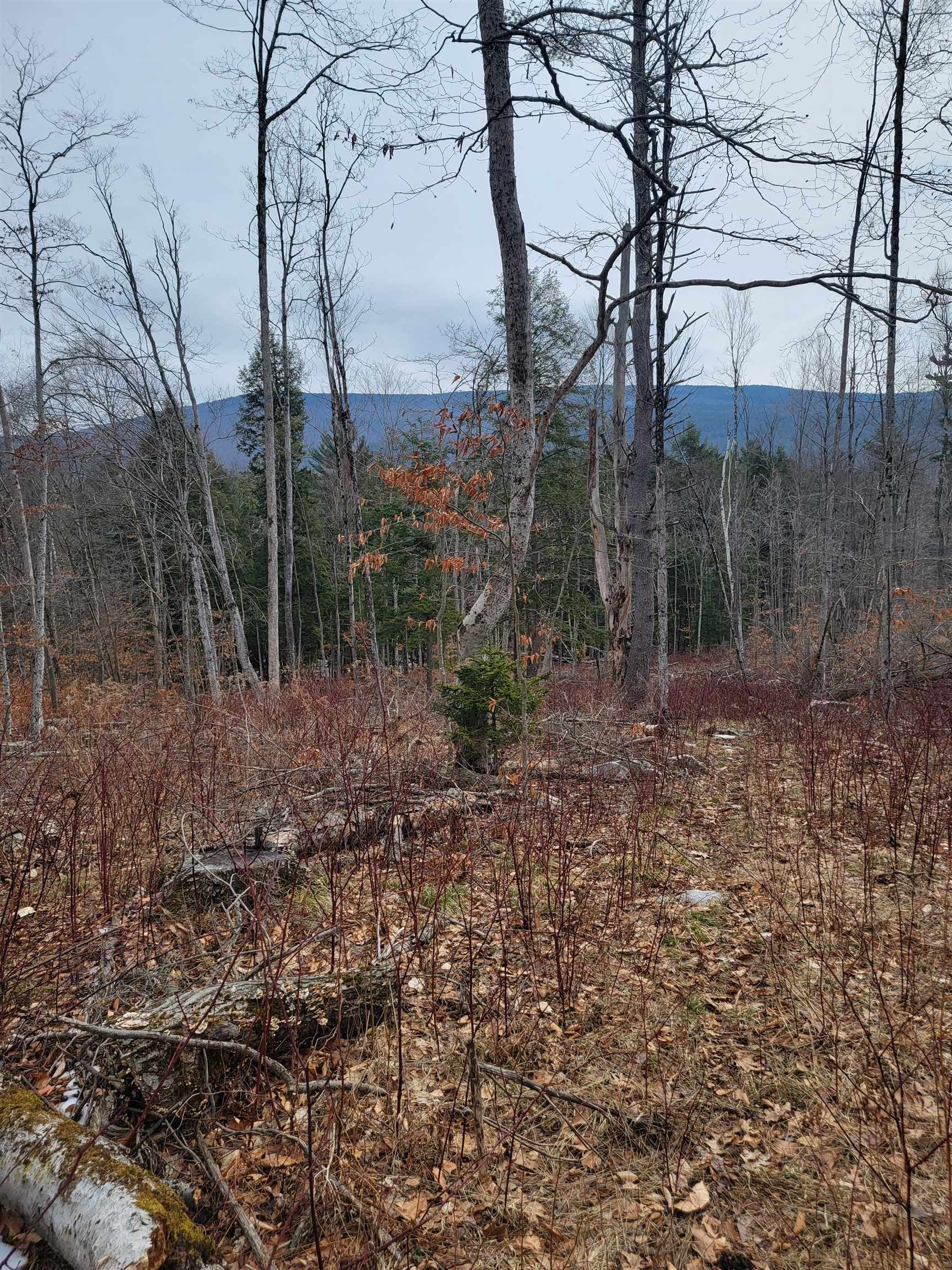 2041 East Road Bennington, VT 05201 - Photo 5 of 8