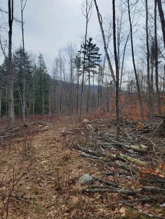 $65,000 | 2041 East Road, Bennington, VT 05201