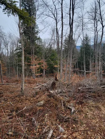 $65,000 | 2041 East Road, Bennington, VT 05201
