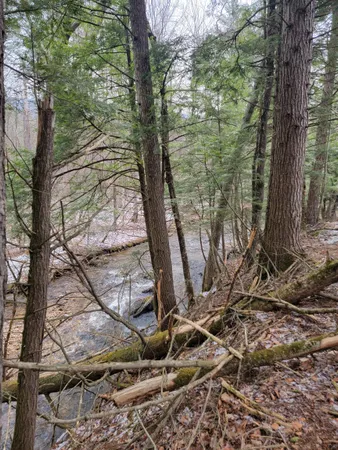 $65,000 | 2041 East Road, Bennington, VT 05201