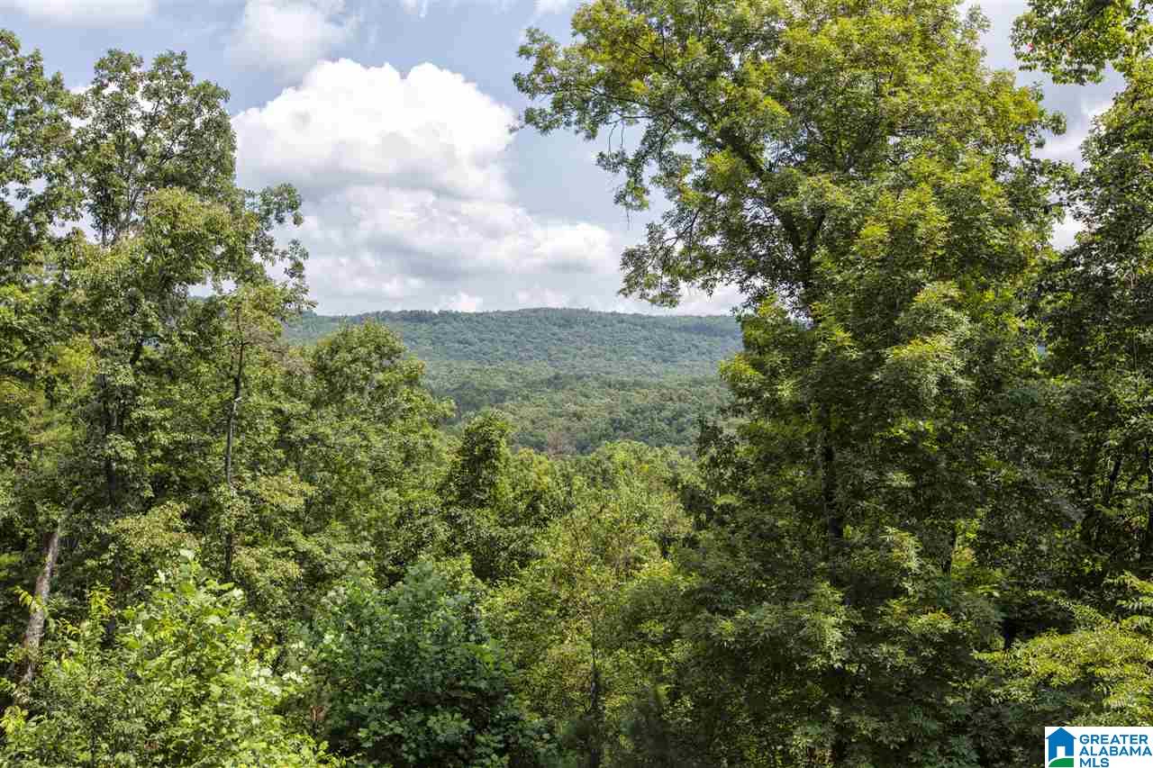 5639 Oak Mountain Lake Road Birmingham, AL 35242 - Photo 7 of 45