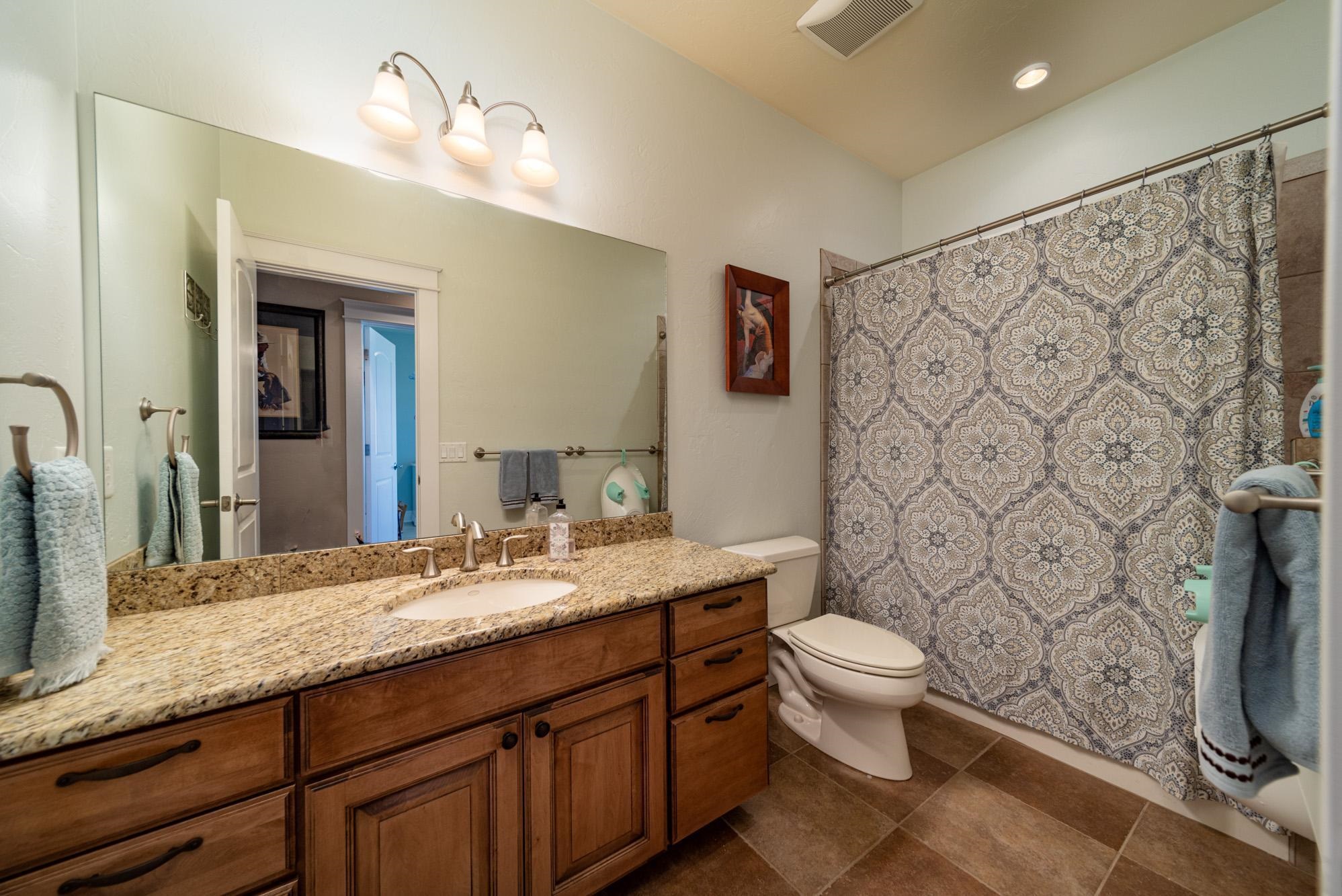 1371 Saddle Ridge Road Loma, CO 81524 - Photo 25 of 42 a bathroom with a granite countertop sink toilet and shower