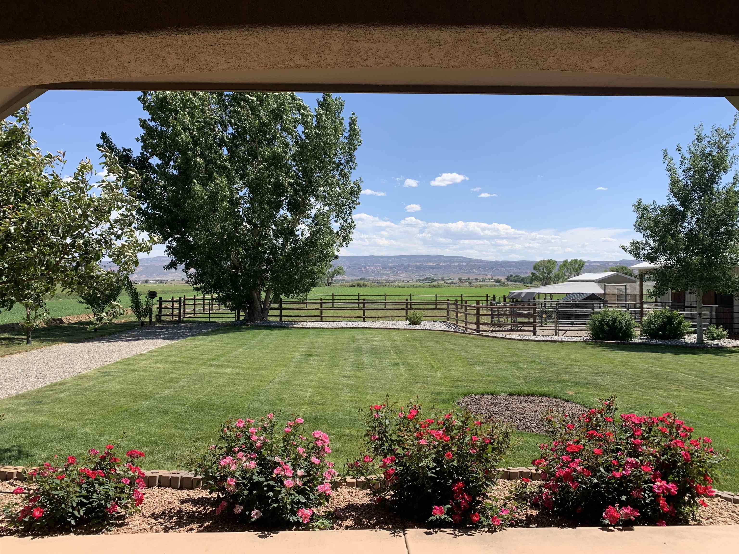 1371 Saddle Ridge Road Loma, CO 81524 - Photo 31 of 42 a view of a house with a yard