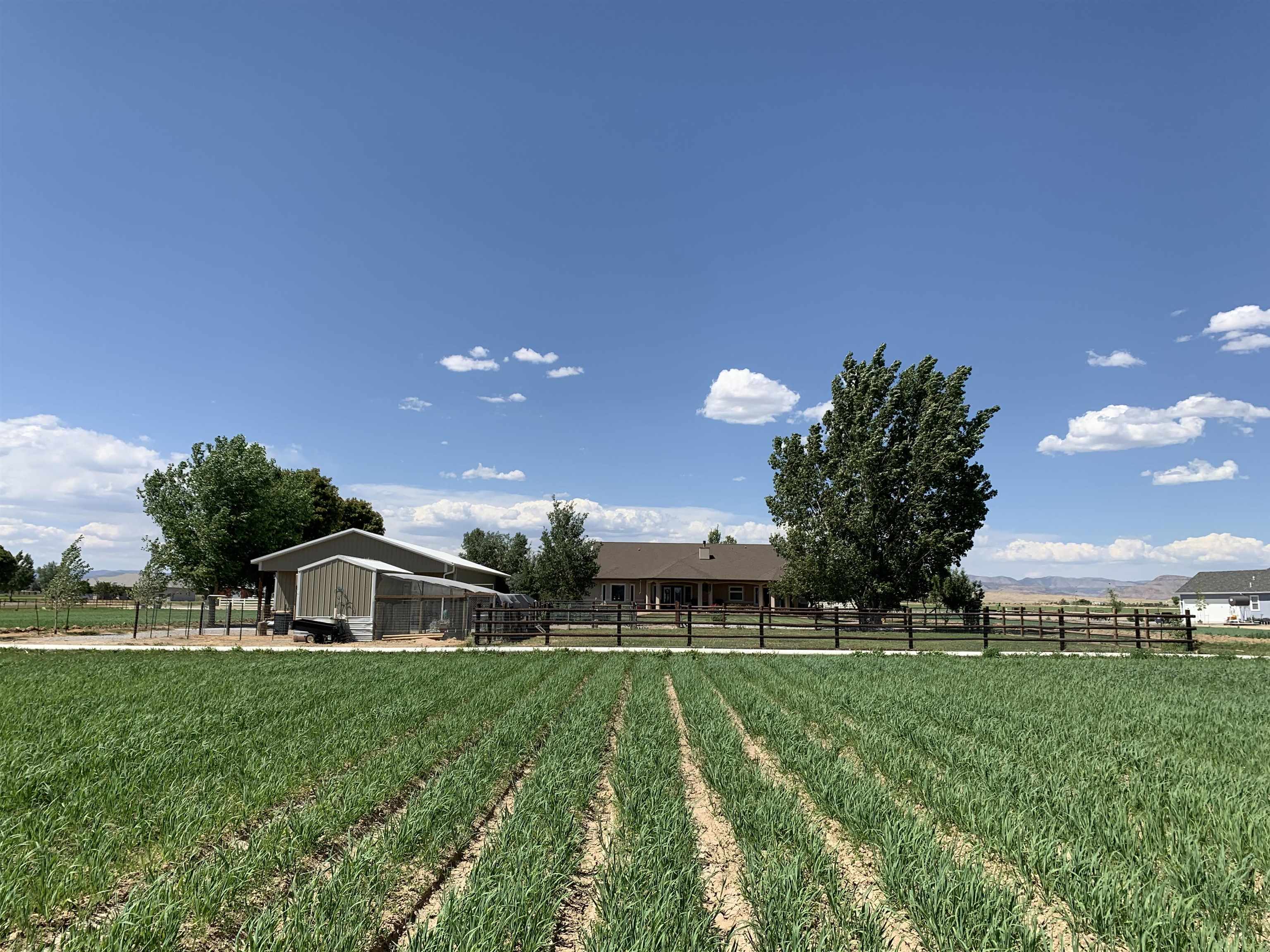 1371 Saddle Ridge Road Loma, CO 81524 - Photo 41 of 42 a front view of a house with garden